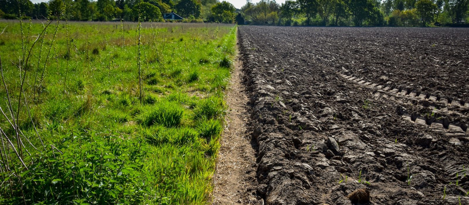 Photo by Rick van der Haar a field with dirt and grass